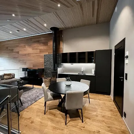 Levin Kunkku B Penthouse 4*