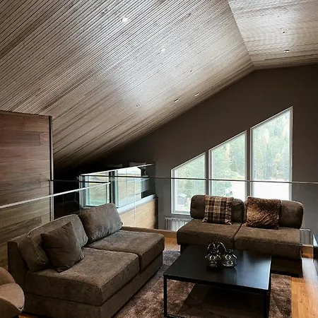 Levin Kunkku B Penthouse Aparthotel