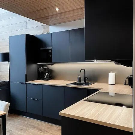 アパートホテル Levin Kunkku B Penthouse