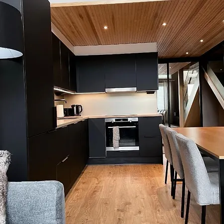 Levin Kunkku B Penthouse 4* レヴィ