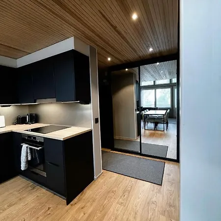 Levin Kunkku B Penthouse アパートホテル 4*