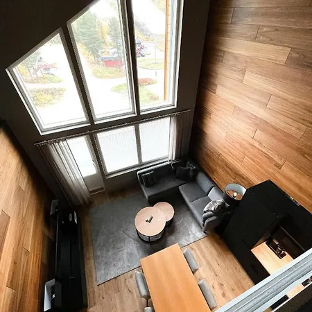 Levin Kunkku B Penthouse * Levi