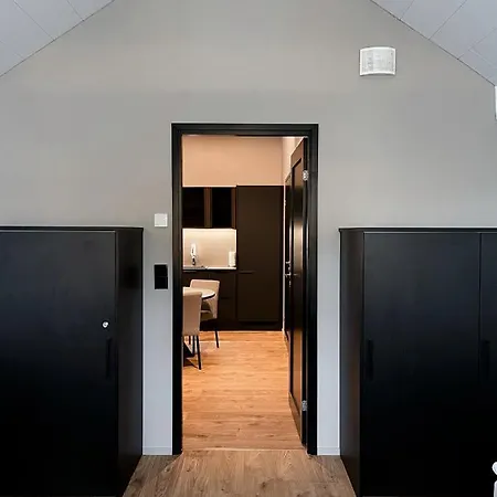 アパートホテル Levin Kunkku B Penthouse 4*