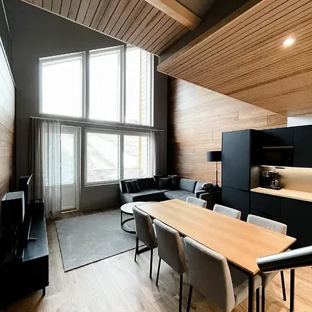 公寓式酒店 Levin Kunkku B Penthouse 4*