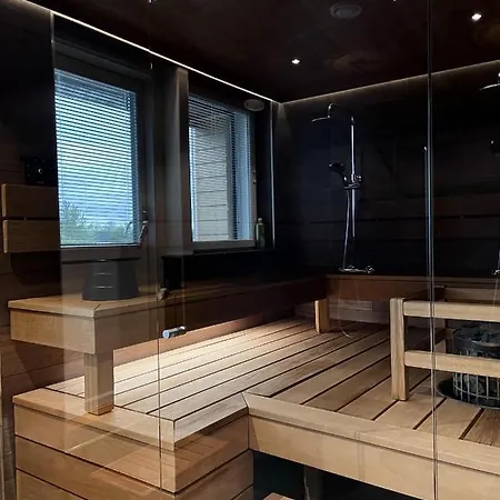 Levin Kunkku B Penthouse 4* レヴィ