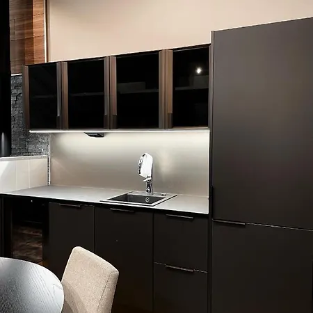 Levin Kunkku B Penthouse アパートホテル レヴィ