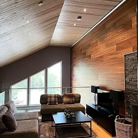 Levin Kunkku B Penthouse アパートホテル 4*