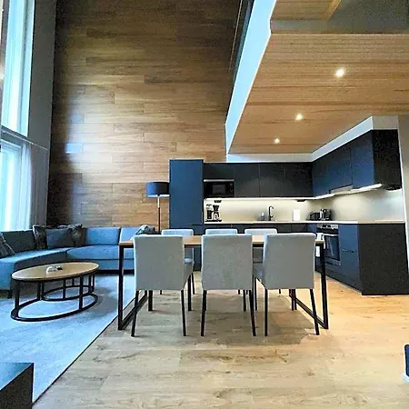 Levin Kunkku B Penthouse 4*