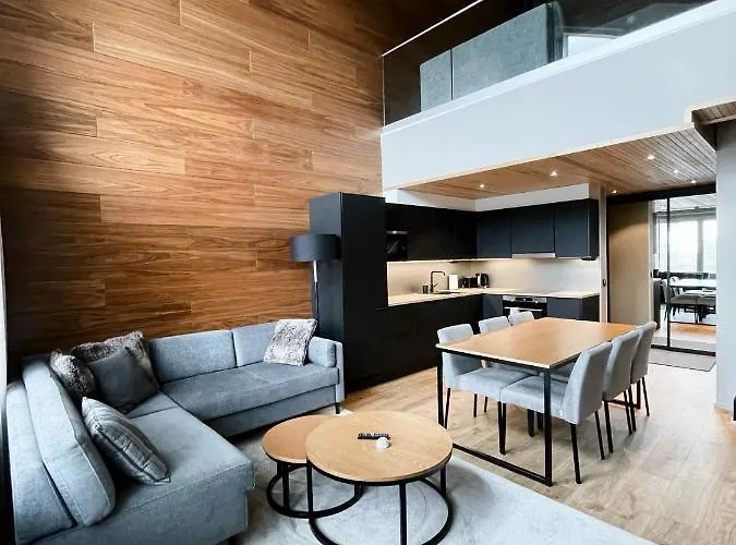 Levin Kunkku B Penthouse Lägenhetshotell