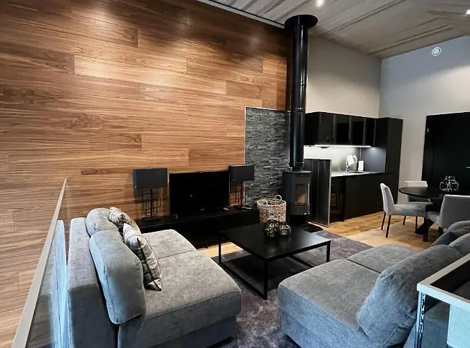 Levin Kunkku B Penthouse Lägenhetshotell 4*