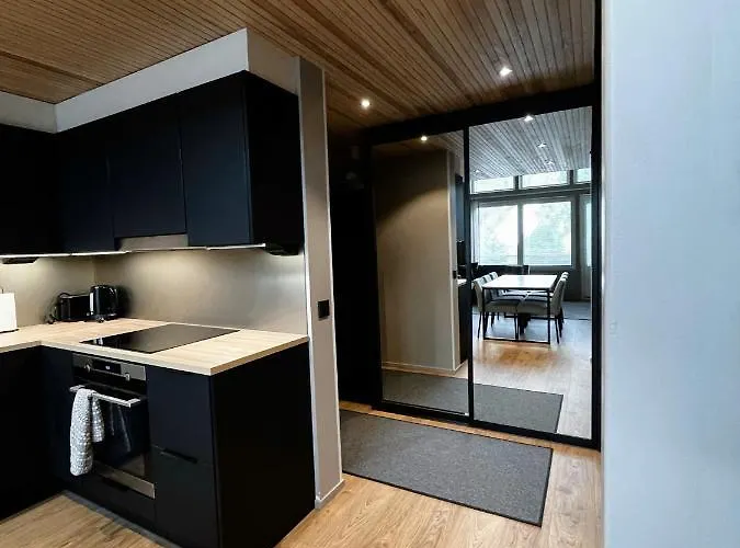 Levin Kunkku B Penthouse Lägenhetshotell 4*